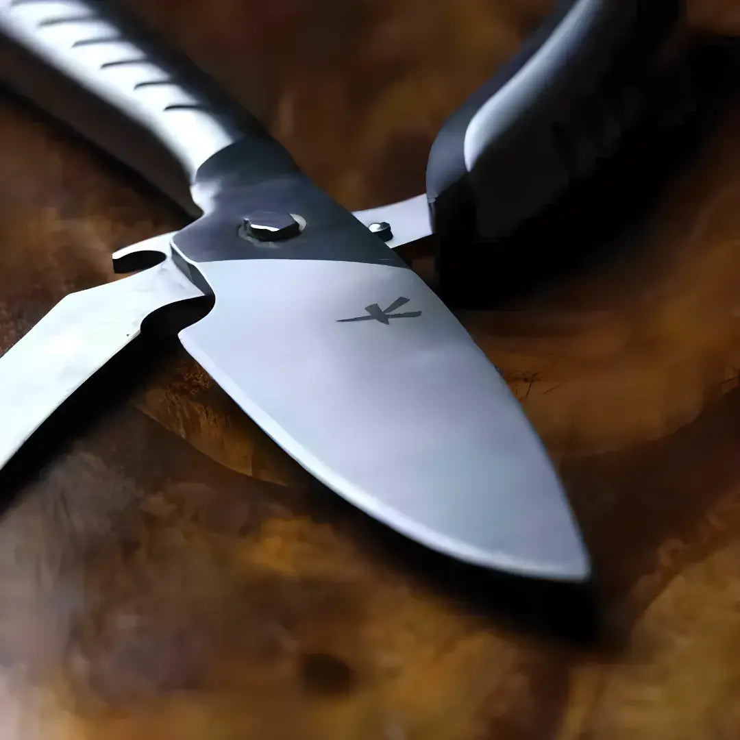 Premium Detachable Kitchen Scissors